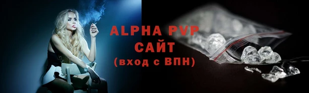 apvp Бородино